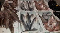 Alghero (Markthalle)