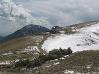 Altissiomo
