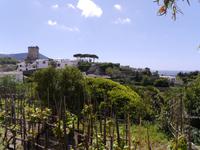 Altstadt Forio