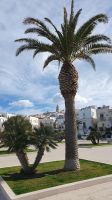 Altstadt von Vieste
