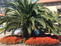 Am Gardasee