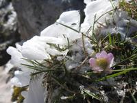 Am Monte Baldo