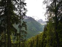 Am Passo Tonale