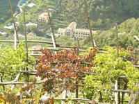 Amalfi im Herbst 9