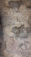 Aquileia - Basilika Santa Maria Assunta (Krypta der Ausgrabungen)