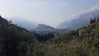 Arco