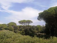 Auf Elba