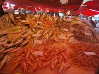 Auf dem Fischmarkt in Catania