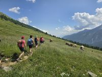 Auf dem Murmeltierpfad am Passo Tonale
