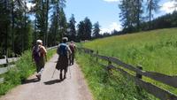 Auf dem Weg zur Leadneralm