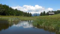 Auf dem Weg zur Leadneralm
