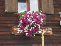 Auf der Seiser Alm - Arnikahütte 