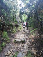 Auf der Wanderung