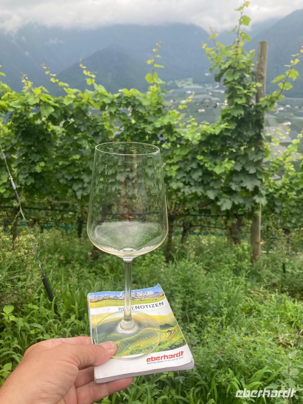 Auf zur Weinprobe