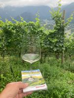 Auf zur Weinprobe