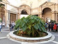 Ausflug Vatikanische Museen Rom