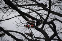 Ausgediente Turnschuhe auf dem Promendaweg Bozener Wassermauer