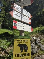 Bärenwarnung in den Brenta Dolomiten