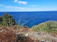 Balagne