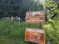 Beginn der Wanderung zu den Vallesinella Wasserfällen