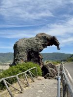 Berühmter Elefantenfels auf Sardinien