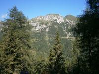 Berg und Wald.