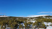 Bergstation und Rittener Horn