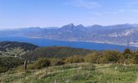 Bestes Panorama.