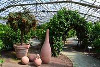 Besuch des Zitronengartens