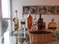 Besuch in der Grappa Distilleria Marzadro
