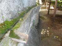 Bewässerung der Limonaia
