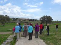 Blick über das Forum zum Poseidon-Tempel in Paestum