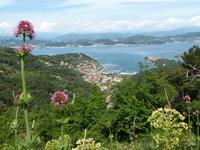 Blick auf La Grazie und La Spezia