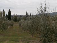 Blick auf San Gimignano