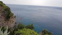Blick auf Scilla 20190422 144649