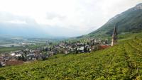 Blick auf Tramin
