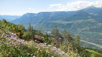 Blick auf das Burggrafenamt