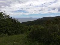 Blick auf die Insel 