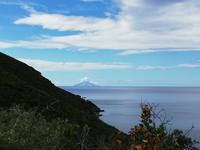 Blick auf die Insel 