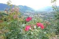 Blick in das Tal