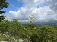 Blick ins Cilento