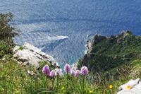 Blick vom Monte Solaro