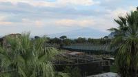 Blick von Dachterrasse