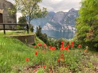 Blick von oben