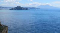 Blick zum Vesuv
