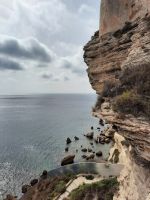 Bonifacio 