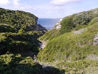 Bonifacio