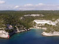 Bonifacio