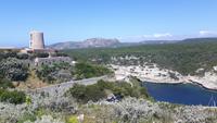 Bonifacio