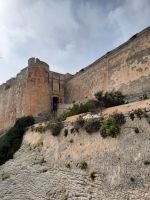 Bonifacio
